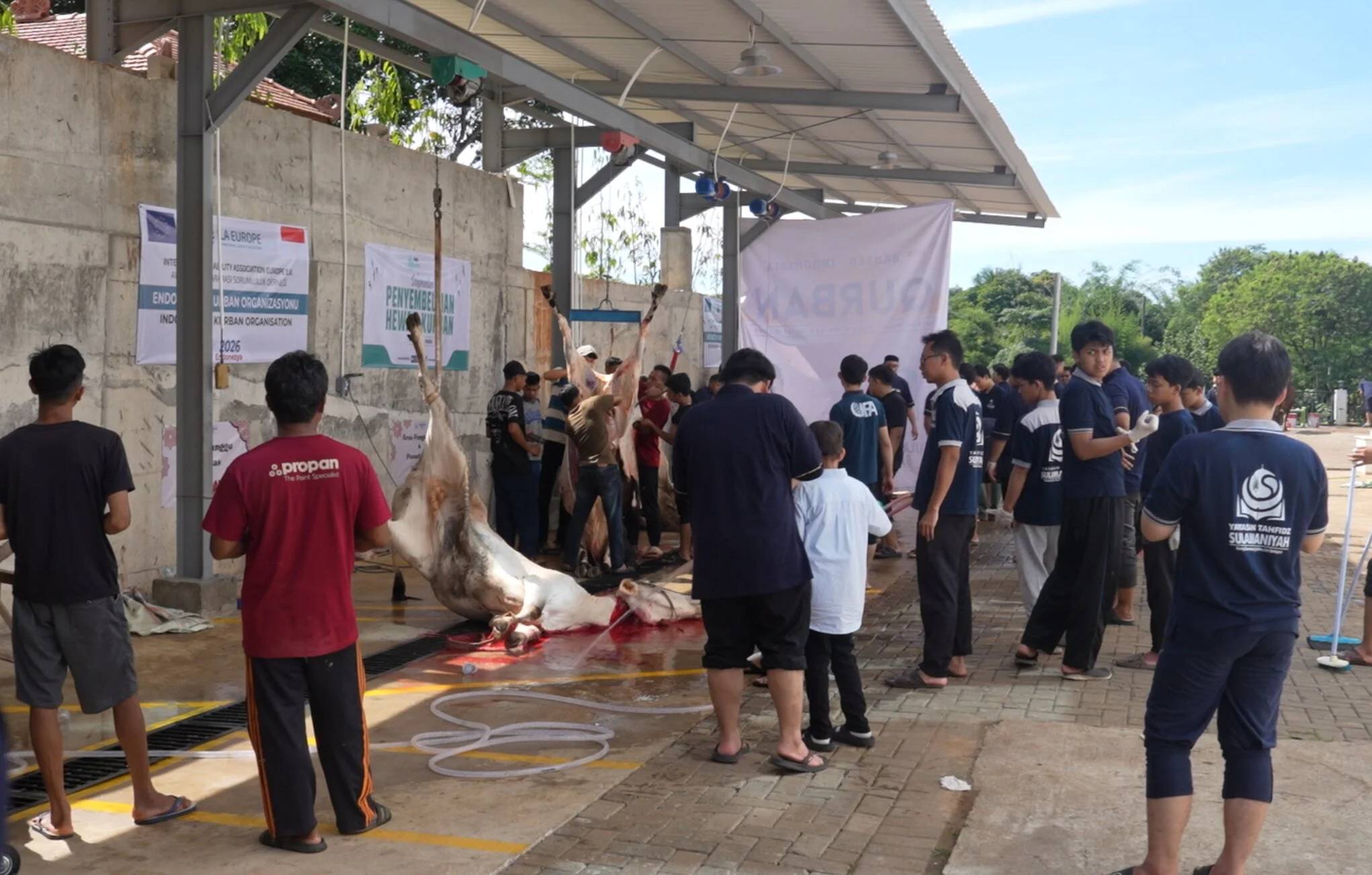 Foto 39 dari album Kurban Bersama Santri Tahfidz 2026